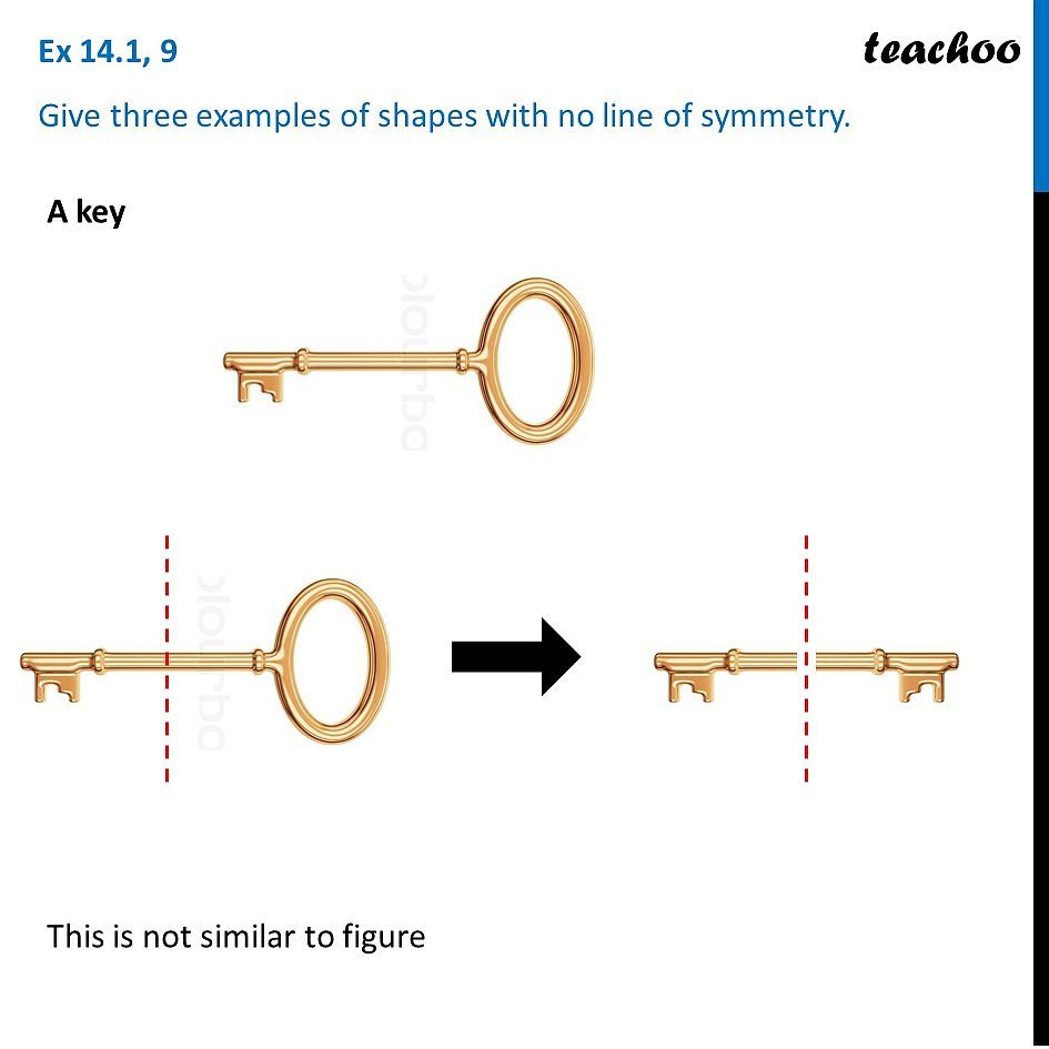 Key Benefits and Perks of Costco Membership Beyond Bulk Savings